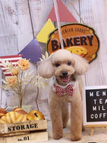 20240920うたちゃん